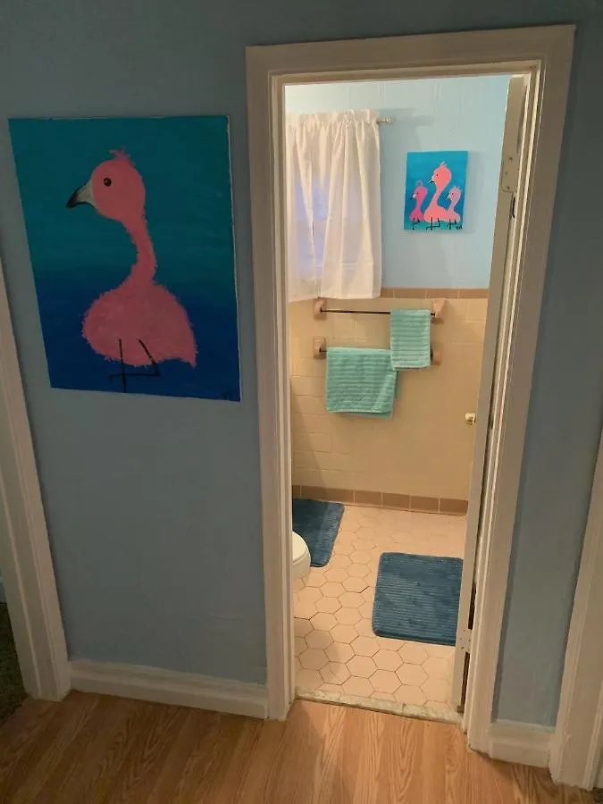 Pink Flamingo At The Beach Cottage North Camellia Acres 0*,  United States